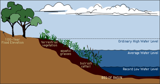 lake level image